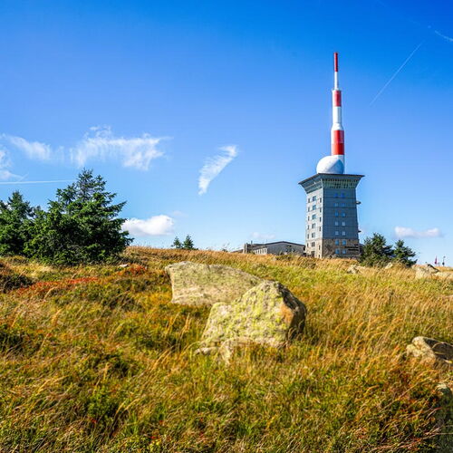 Brocken Berg Tannen Natur Urlaub Harz Urlaubharz Fewo